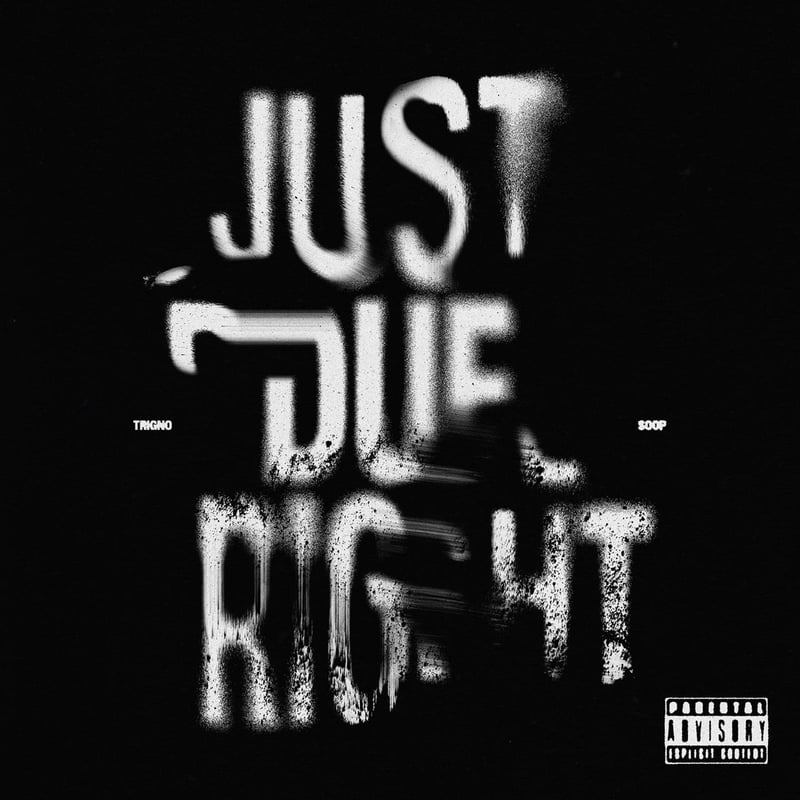TrigNO & Soop – JustDueRight cover art