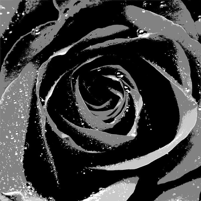 The Mailman, Fresh Kid Blaze & The Relentless Empire – Black Roses (Instrumental) cover art