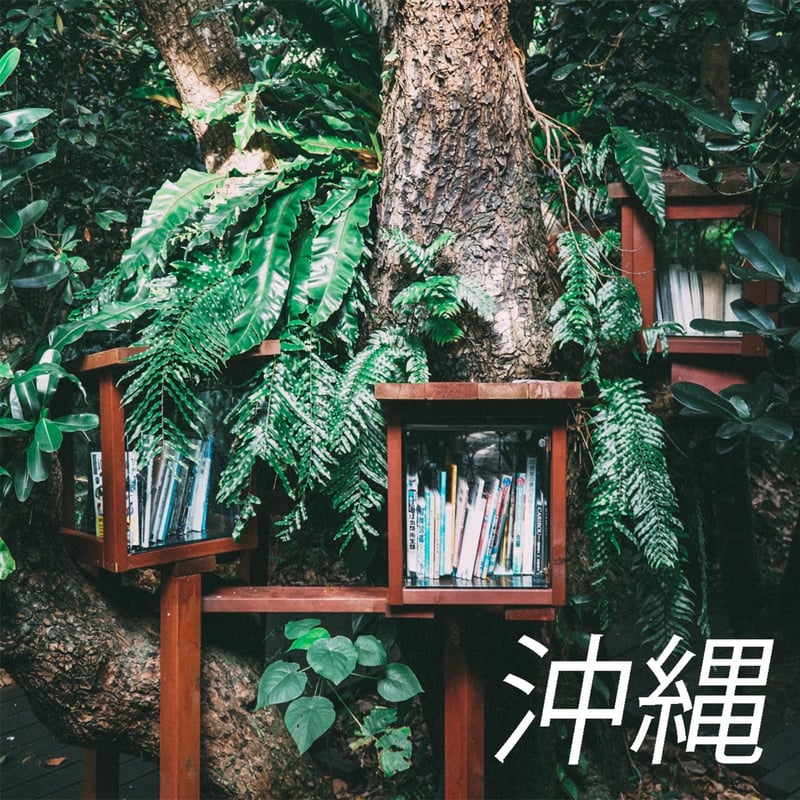 Fresh Kid Blaze – OkiNawa cover art