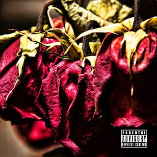 SupaNatra – Roses Are Dead II cover art