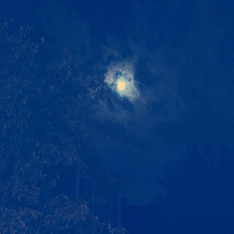 Tobilla – Tc3 Demos cover art