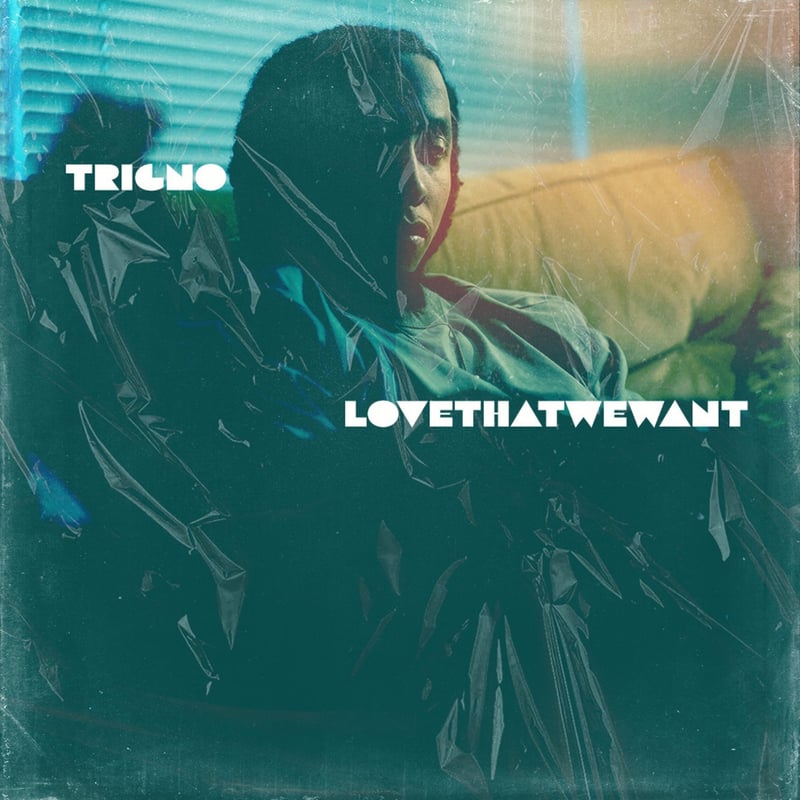 TrigNO – LoveThatWeWant cover art