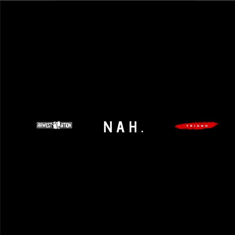 TrigNO – Nah. cover art