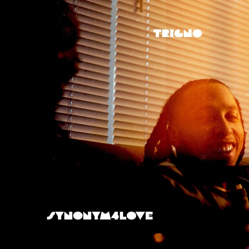 TrigNO – Synonym4Love cover art